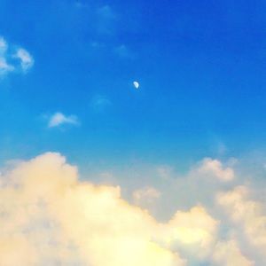 Meet your Posher, Ben